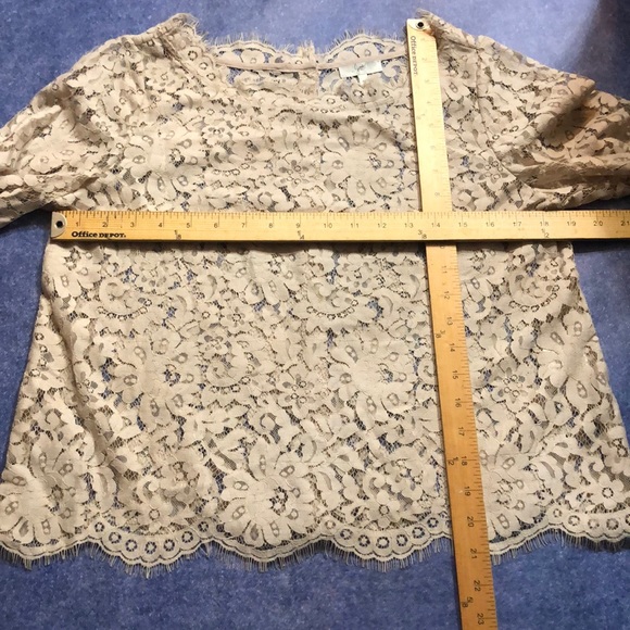 JOIE~Mushroom Elvia Back Button Lace Top~M - Picture 6 of 8